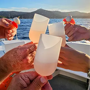 Croisière Dégustation Croisière Dégustation: un apéro en mer à Bormes les Mimosas